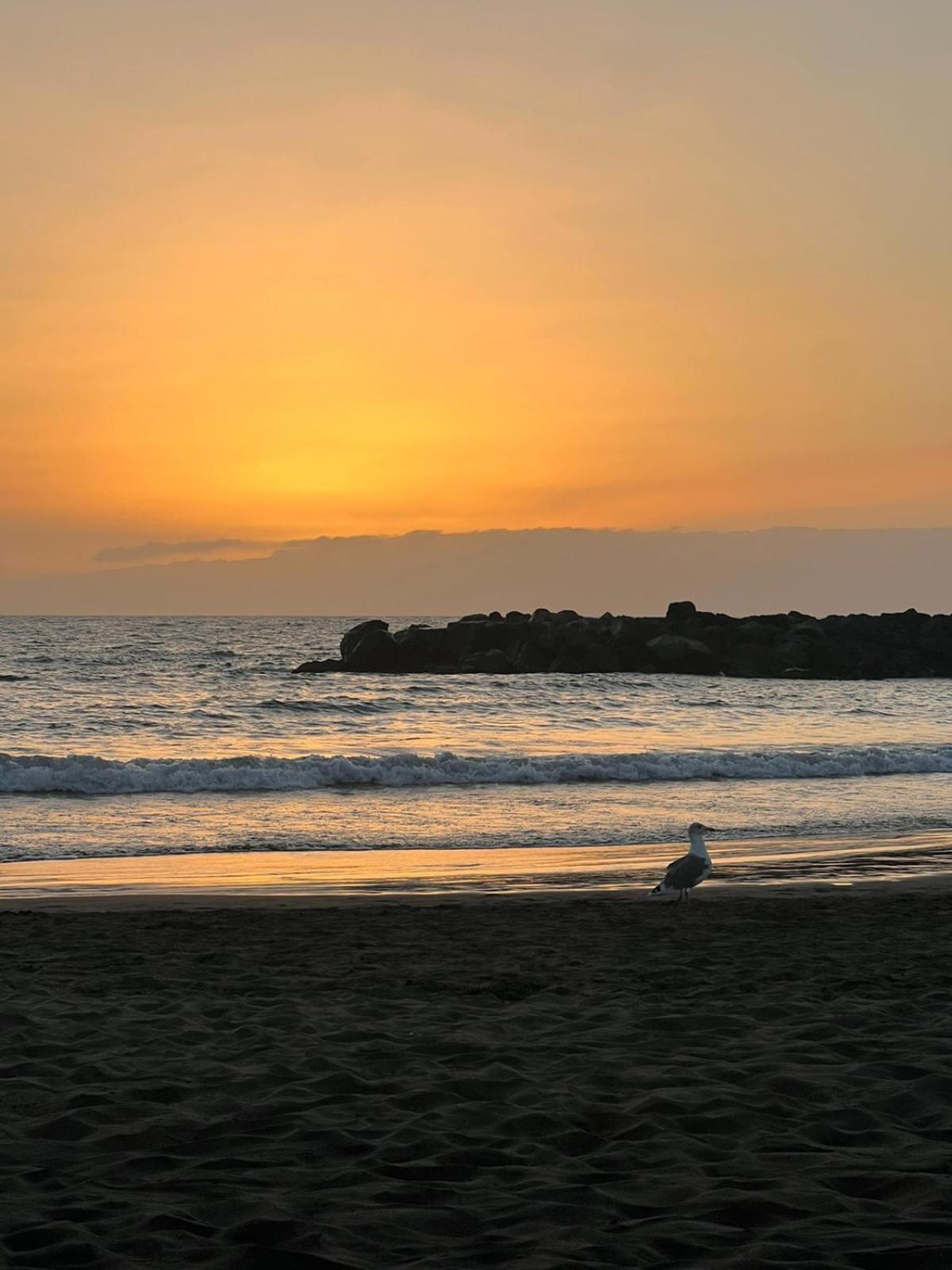 Apartamento En Primera Linea De Playa, Centrico, Tranquilo Playa de las Américas Dış mekan fotoğraf